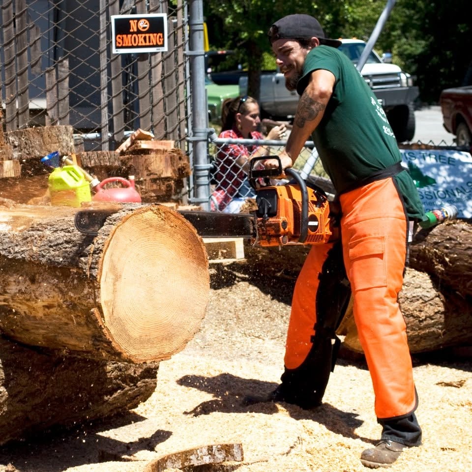 Chainsaw demonstration with sawdust flying at a timber event